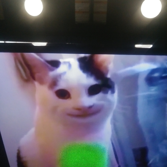 Coach earrings with bag - Picture 5 of 5